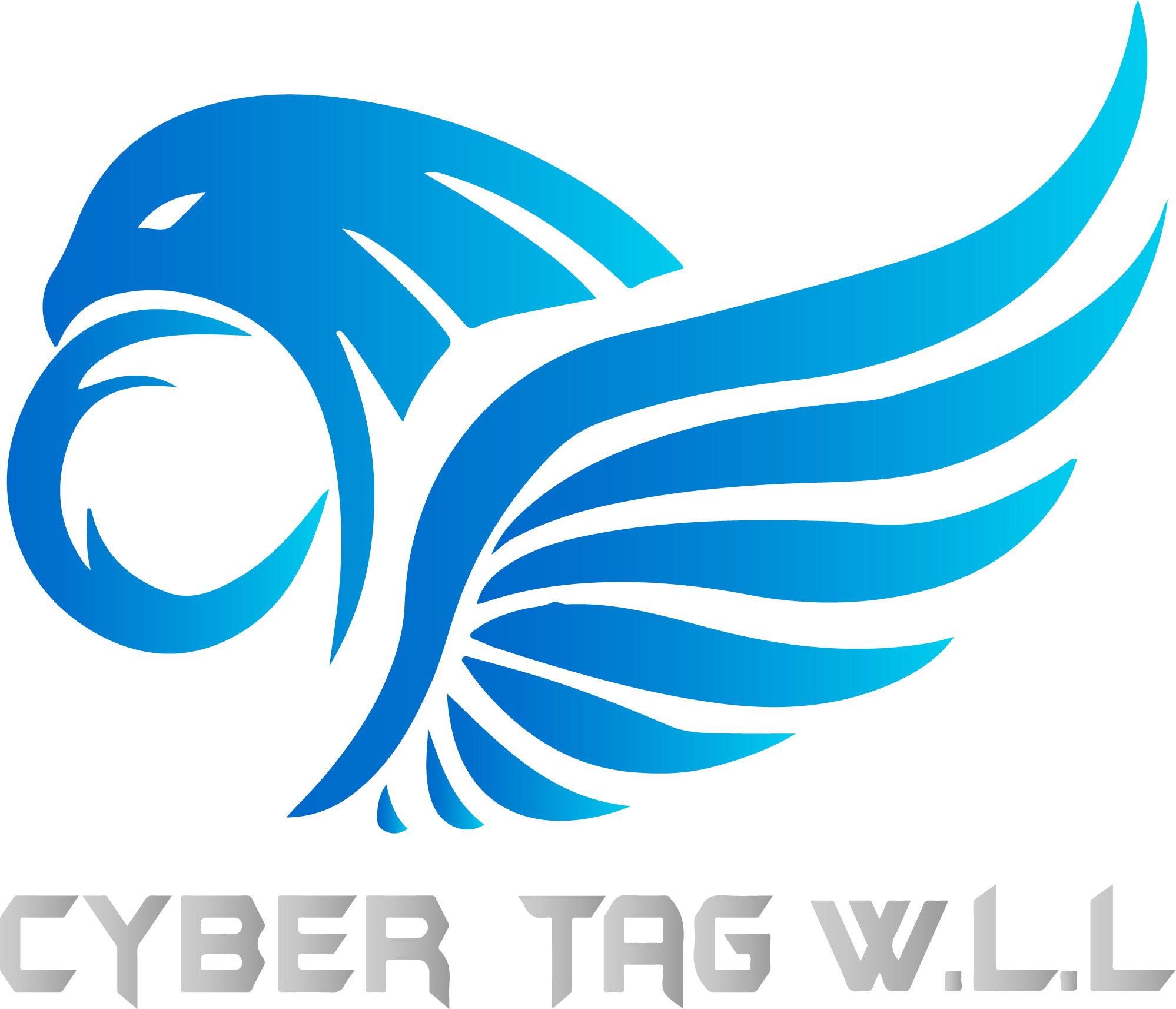 CYBER TAG TRADING AND SERVICES WLL