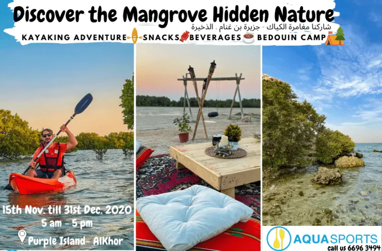 Mangrove Kayaking Eco Adventure at Purple Island
